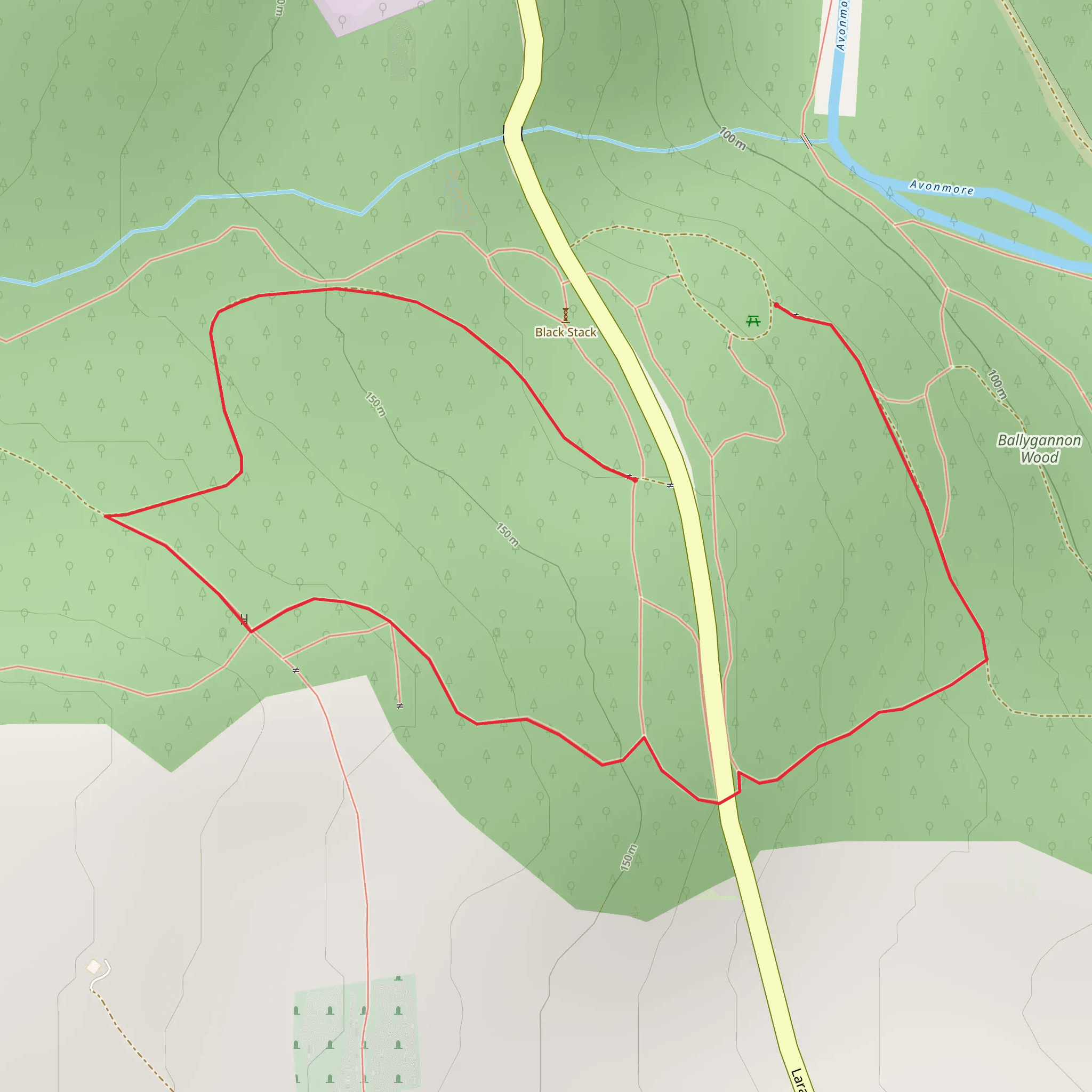 Ballygannon - Red Walk mobile static map