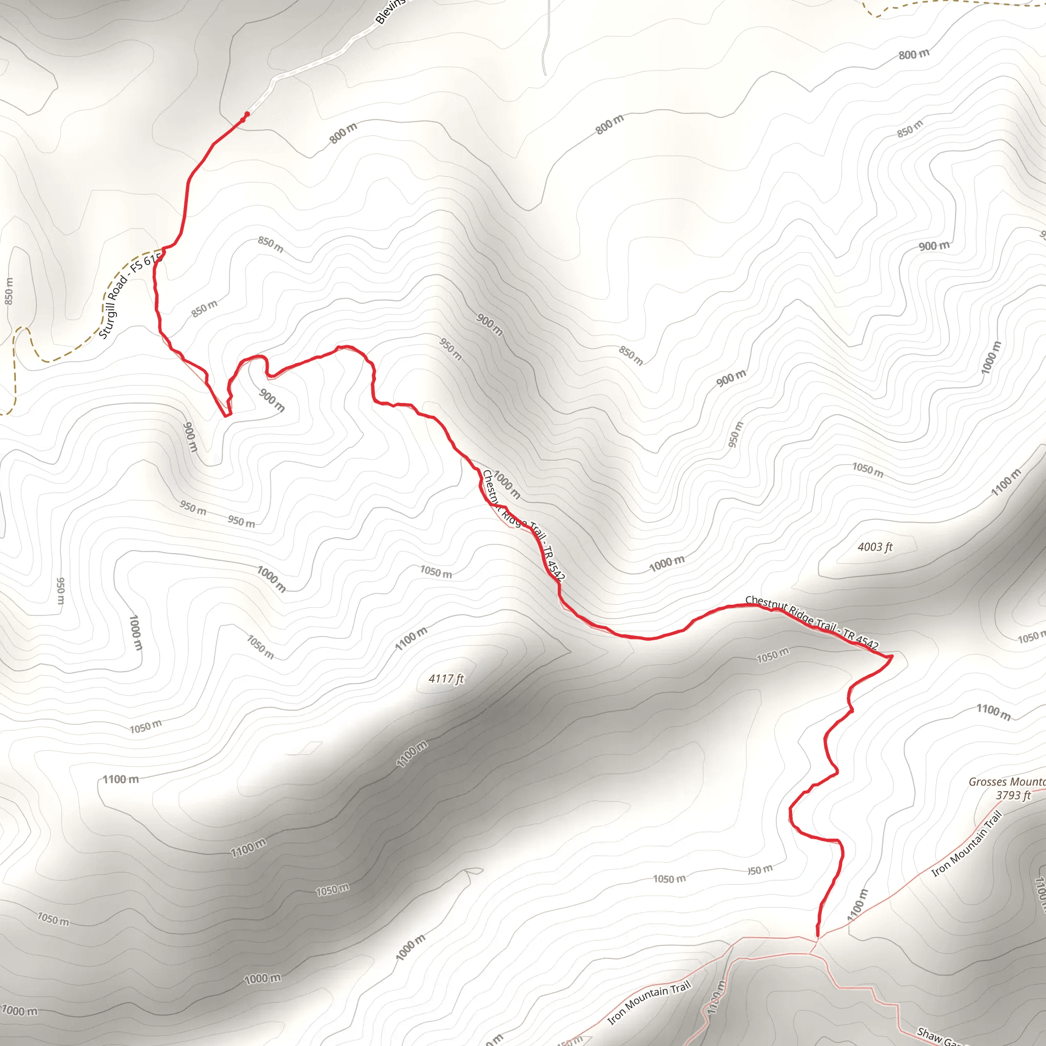 Chestnut Ridge Trail mobile static map