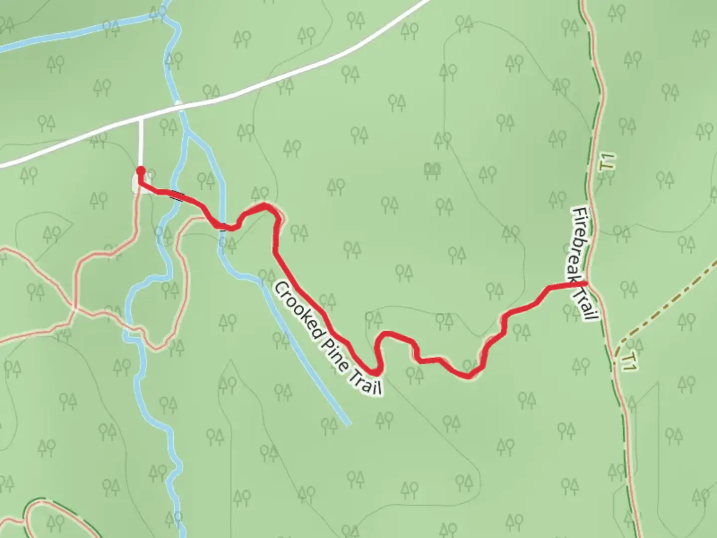 An image depicting the trail Crooked Pine Trail and its surrounding area.