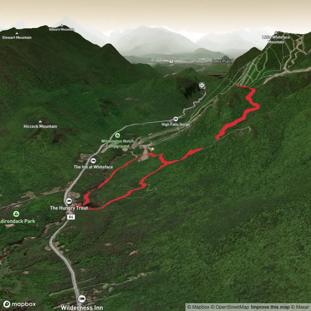 An image depicting the trail West Branch Ausable River Loop and its surrounding area.