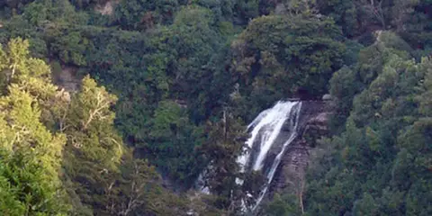 An image depicting the trail Mokau Stream Track and its surrounding area.