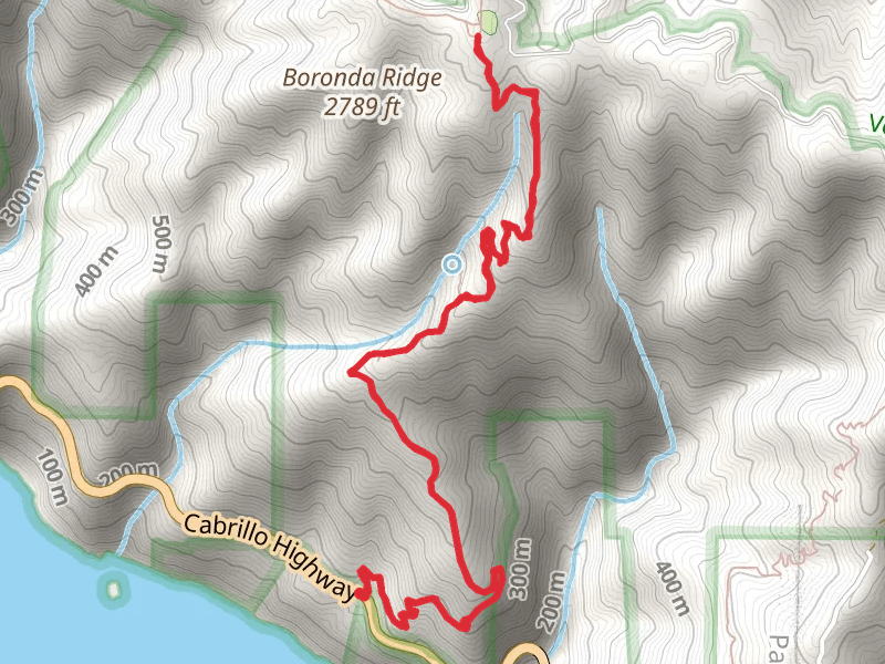 Timber Top-Boranda Trail