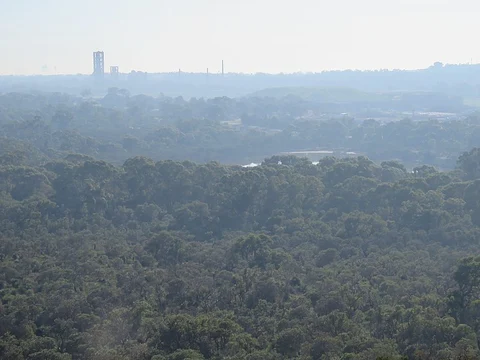 An image depicting the trail Lake Mt Brown Walk and its surrounding area.
