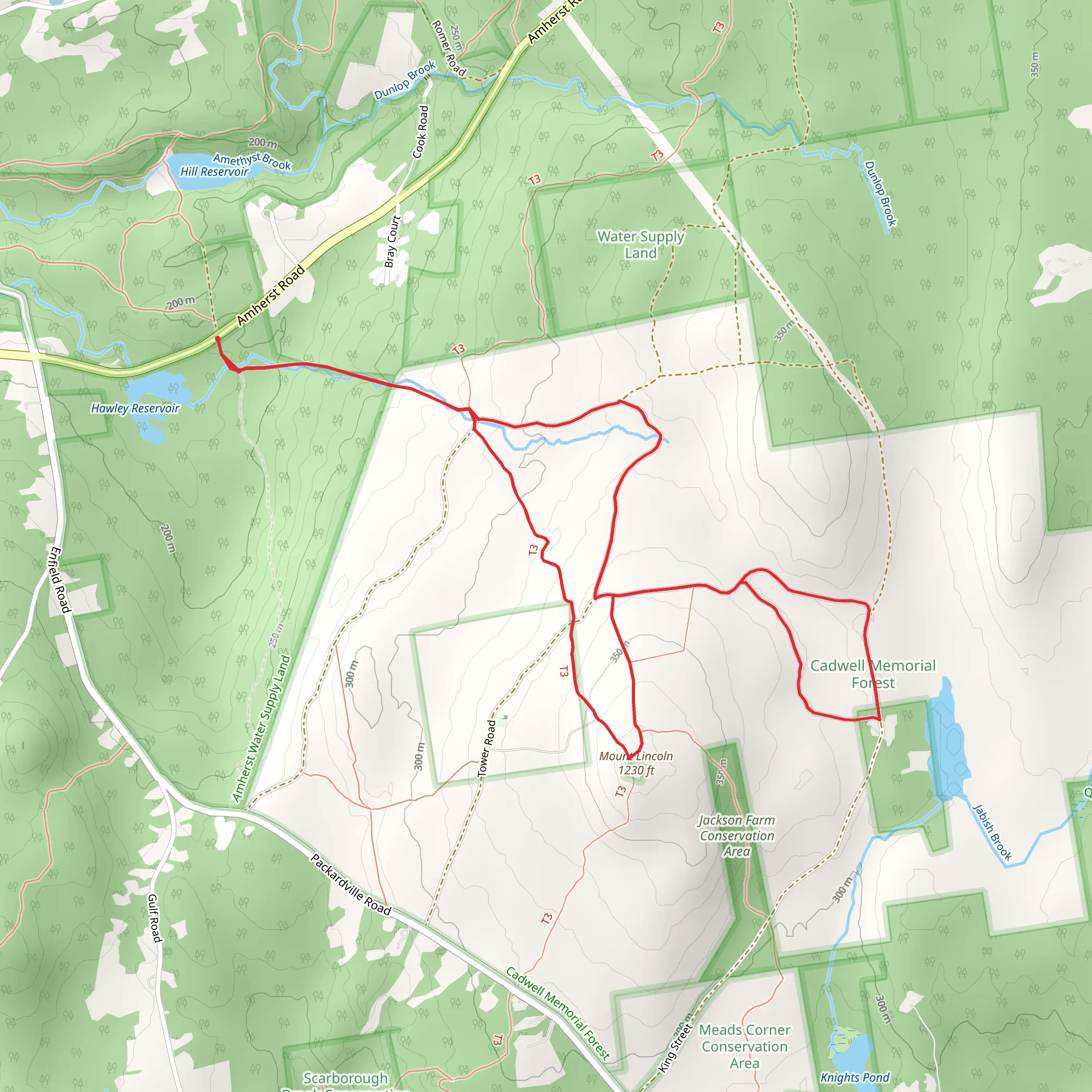 Mount Lincon from Amherst Road mobile static map