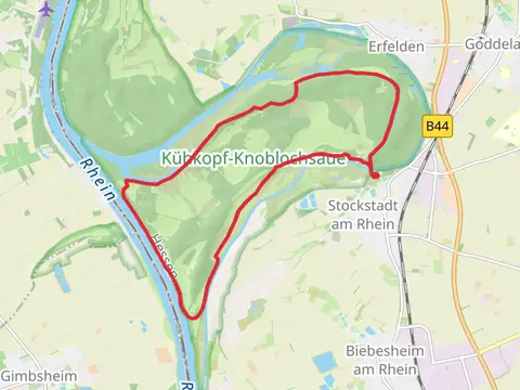 NSG Kushkopf Knoblochsaue Loop