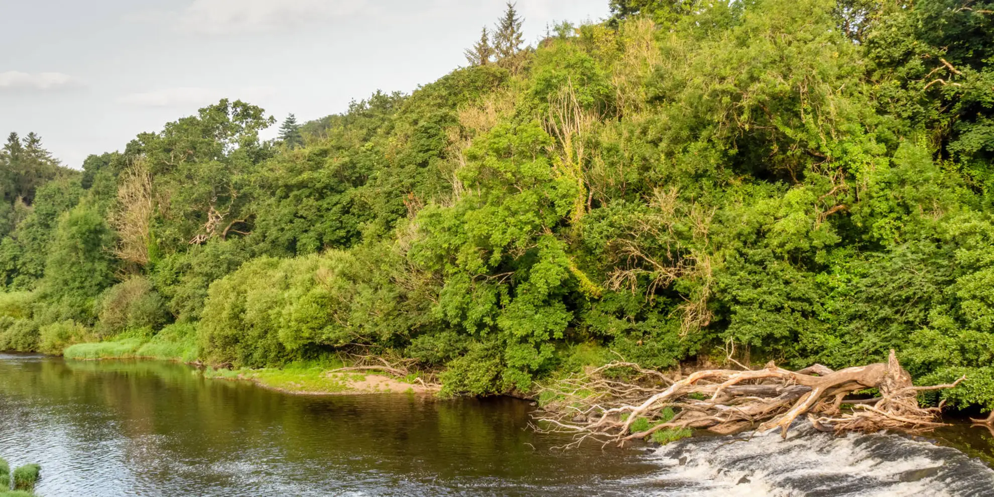 An image depicting the trail Torridge Tarka Trail and its surrounding area.