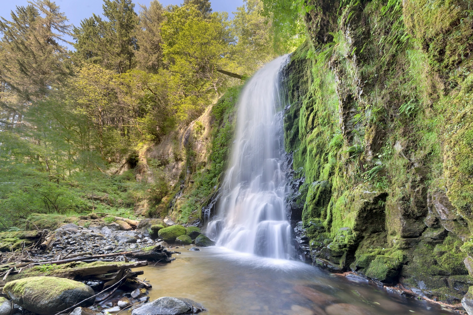 An image depicting the trail Upper McCord Creek Falls and Gorge Trail and its surrounding area.