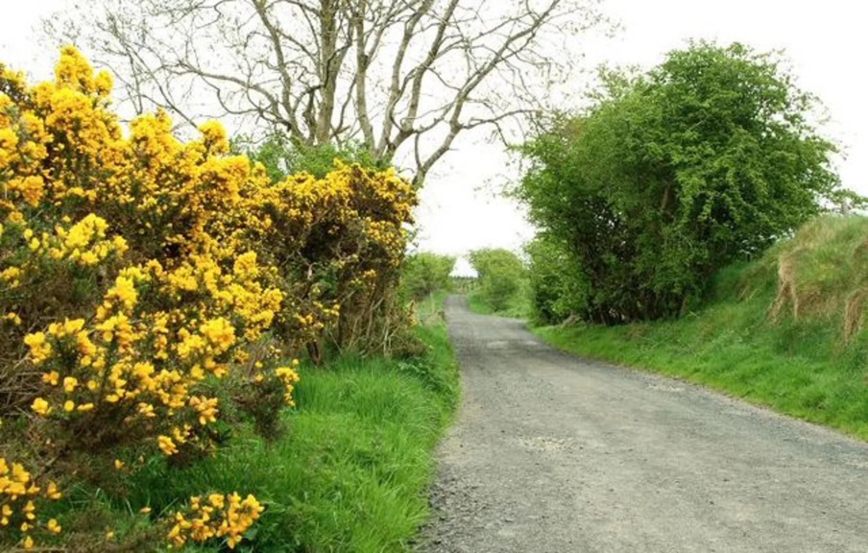 An image depicting the trail The Milibern and its surrounding area.
