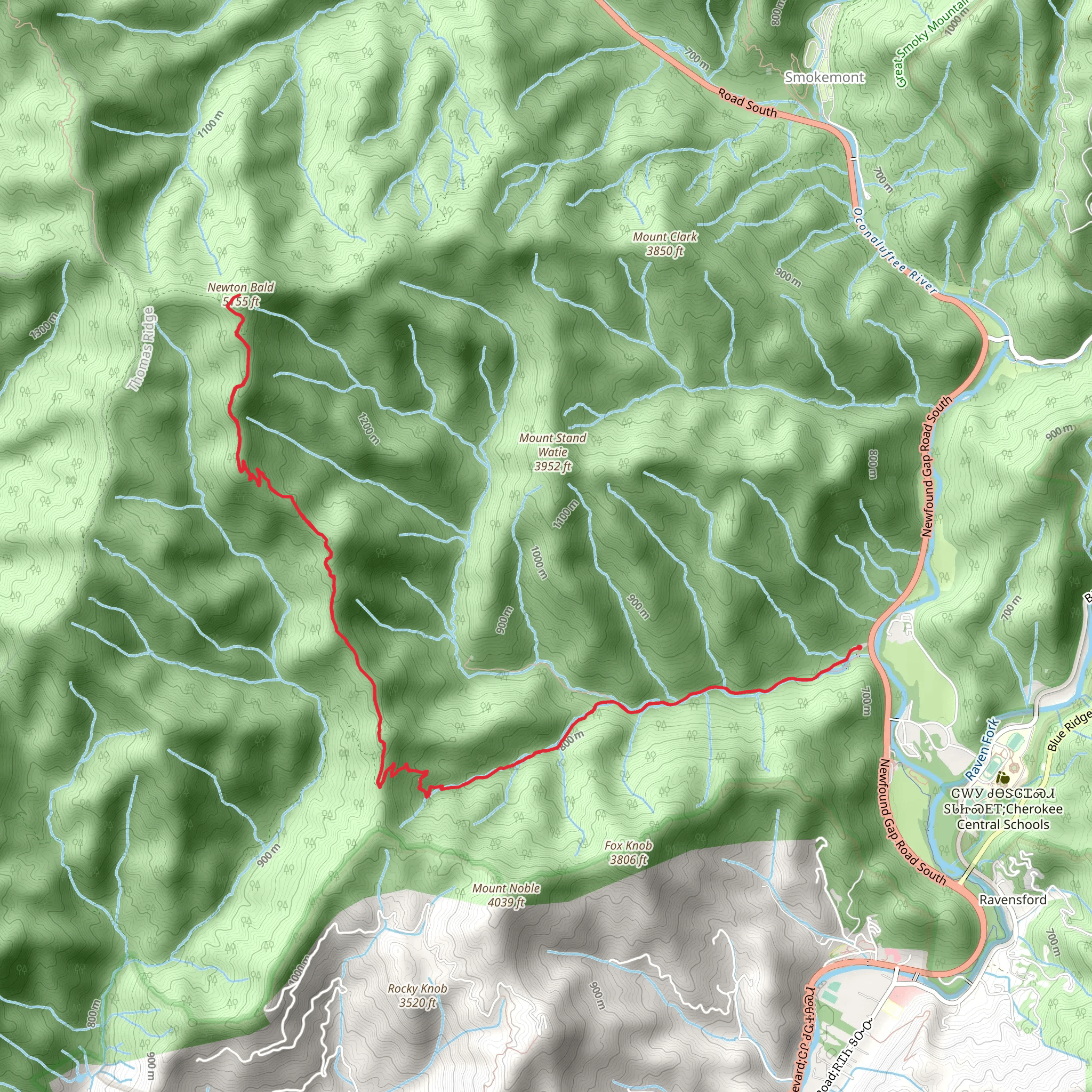 Newton Bald via Mingus Creek Trail mobile static map