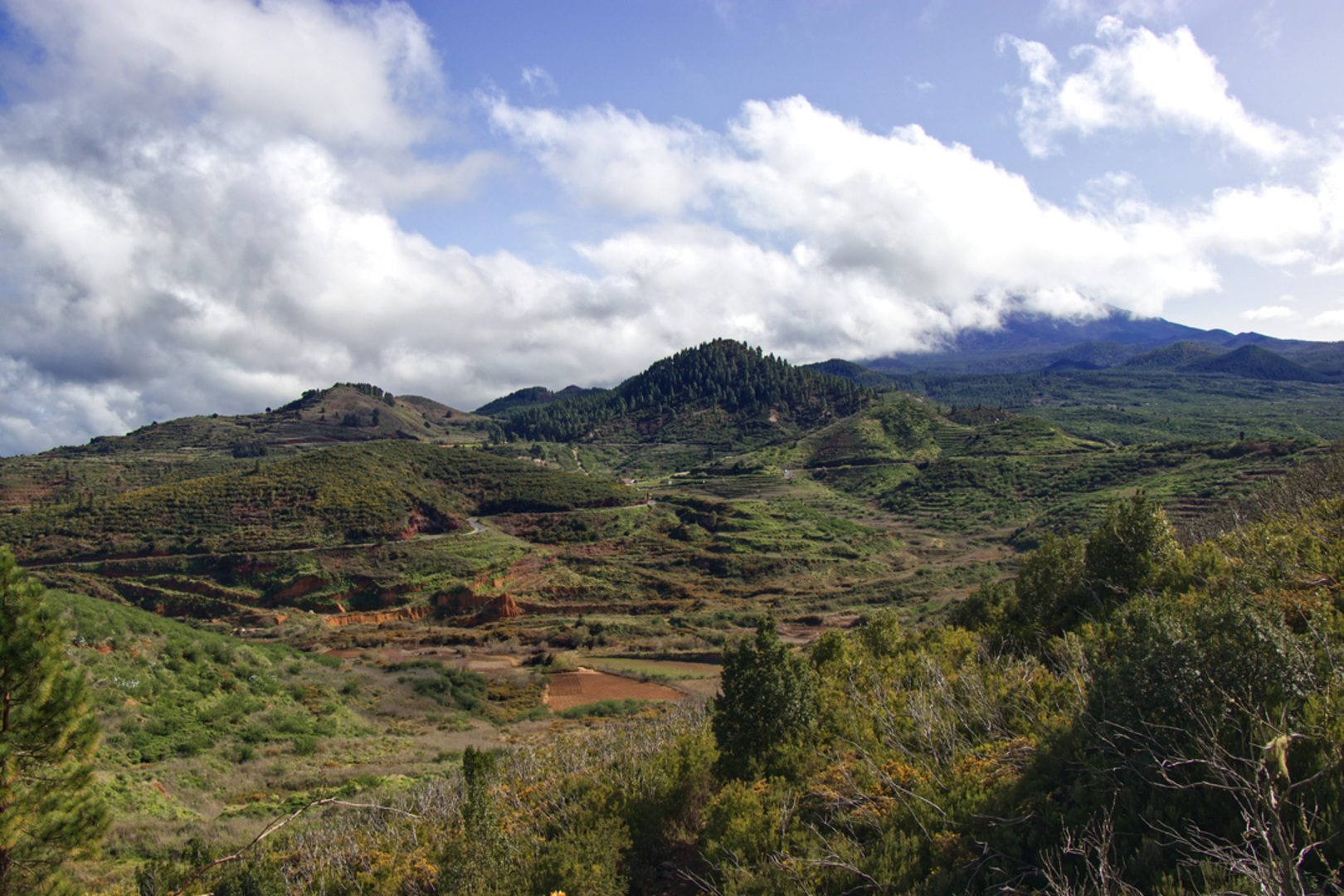 An image depicting the trail Los Silos - Cuevas Negras - Erjos PR TF 53 and its surrounding area.