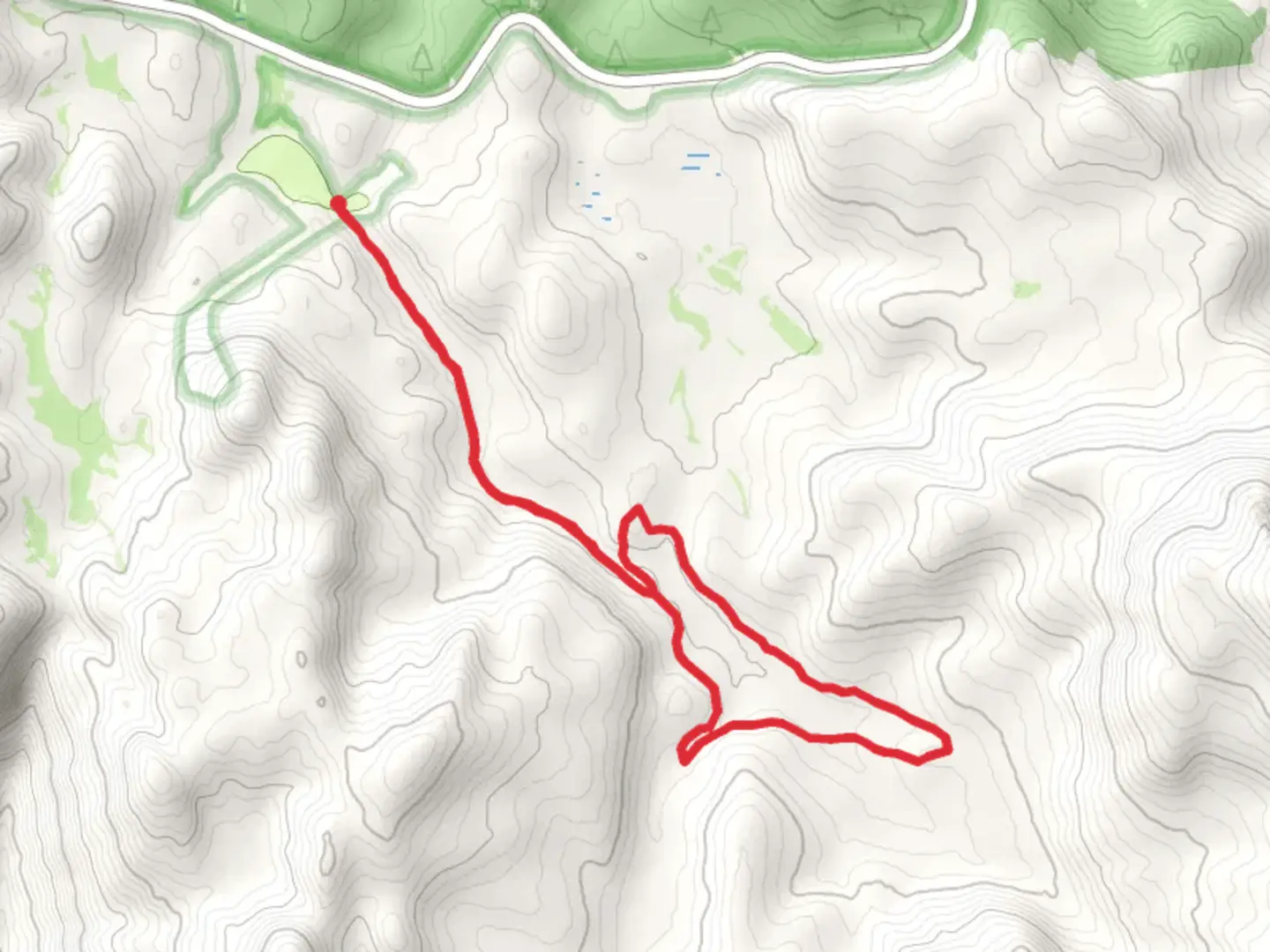 An image depicting the trail Bridalveil Creek Loop and its surrounding area.
