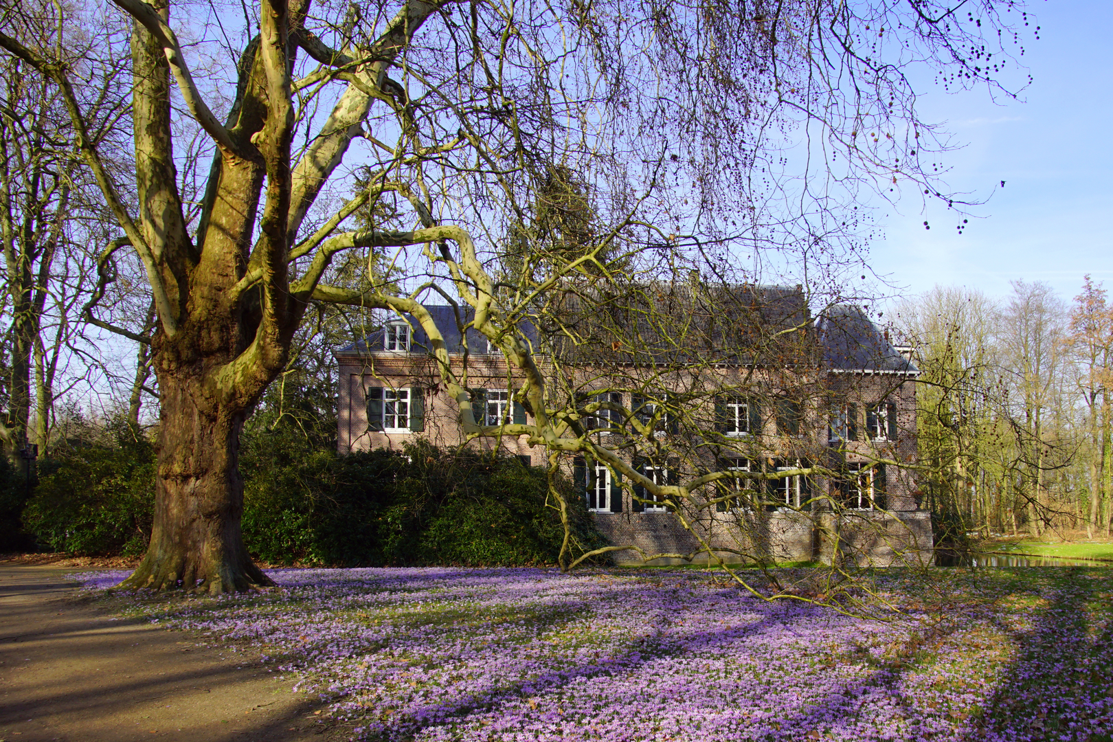 An image depicting the trail Brabants Vennenpad and its surrounding area.