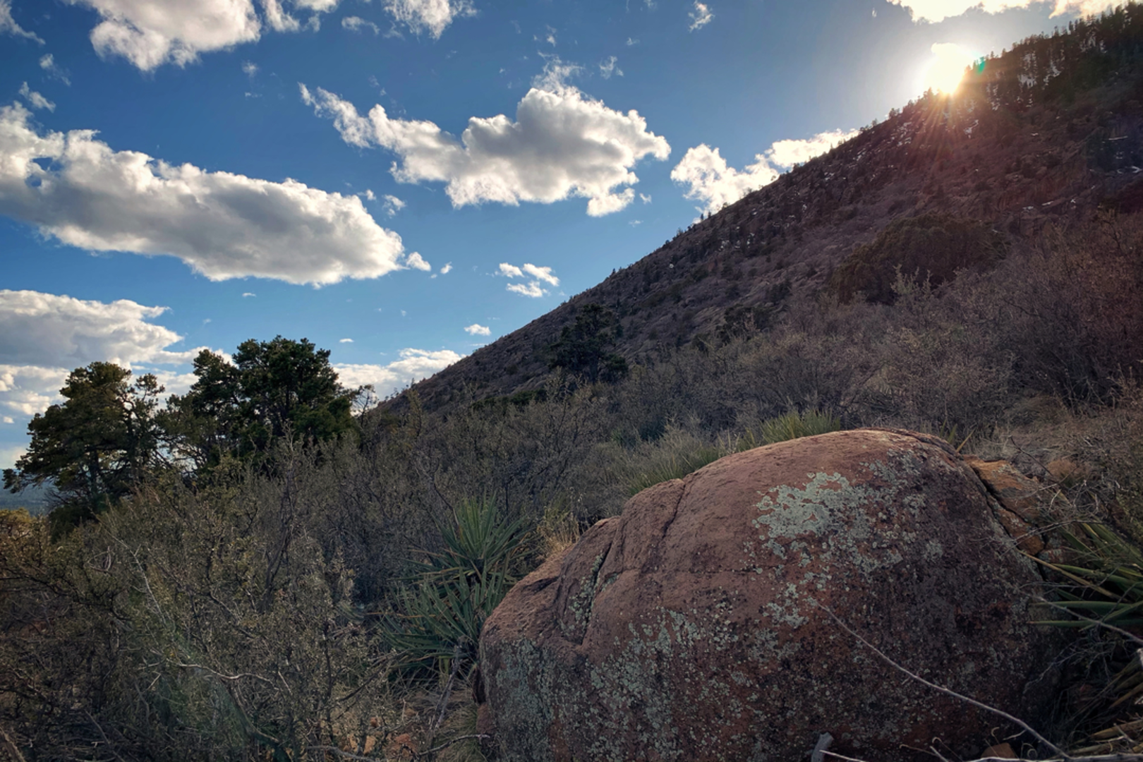An image depicting the trail Elden Lookout Trail and its surrounding area.