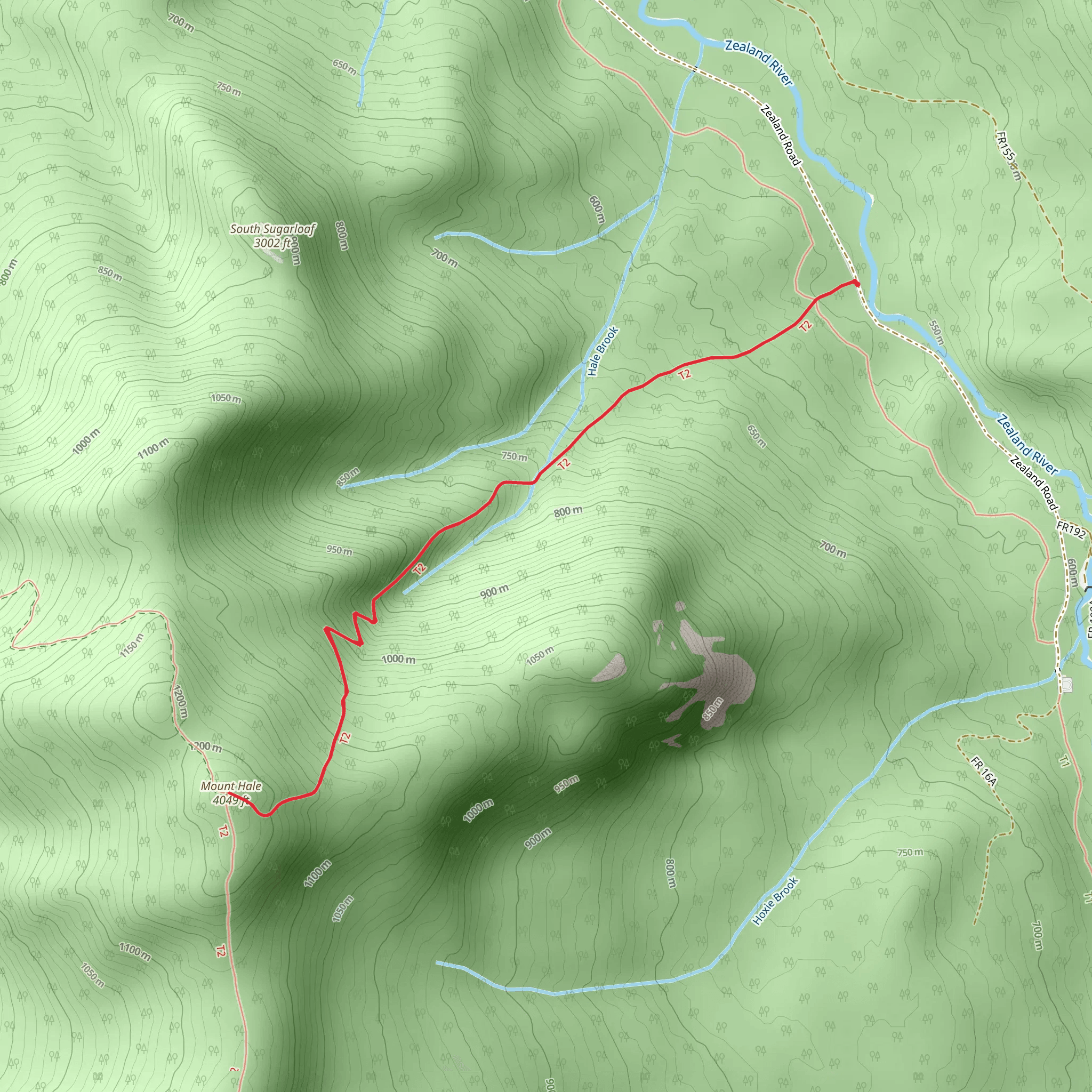 Mount Hale via Hale Brook Trail mobile static map