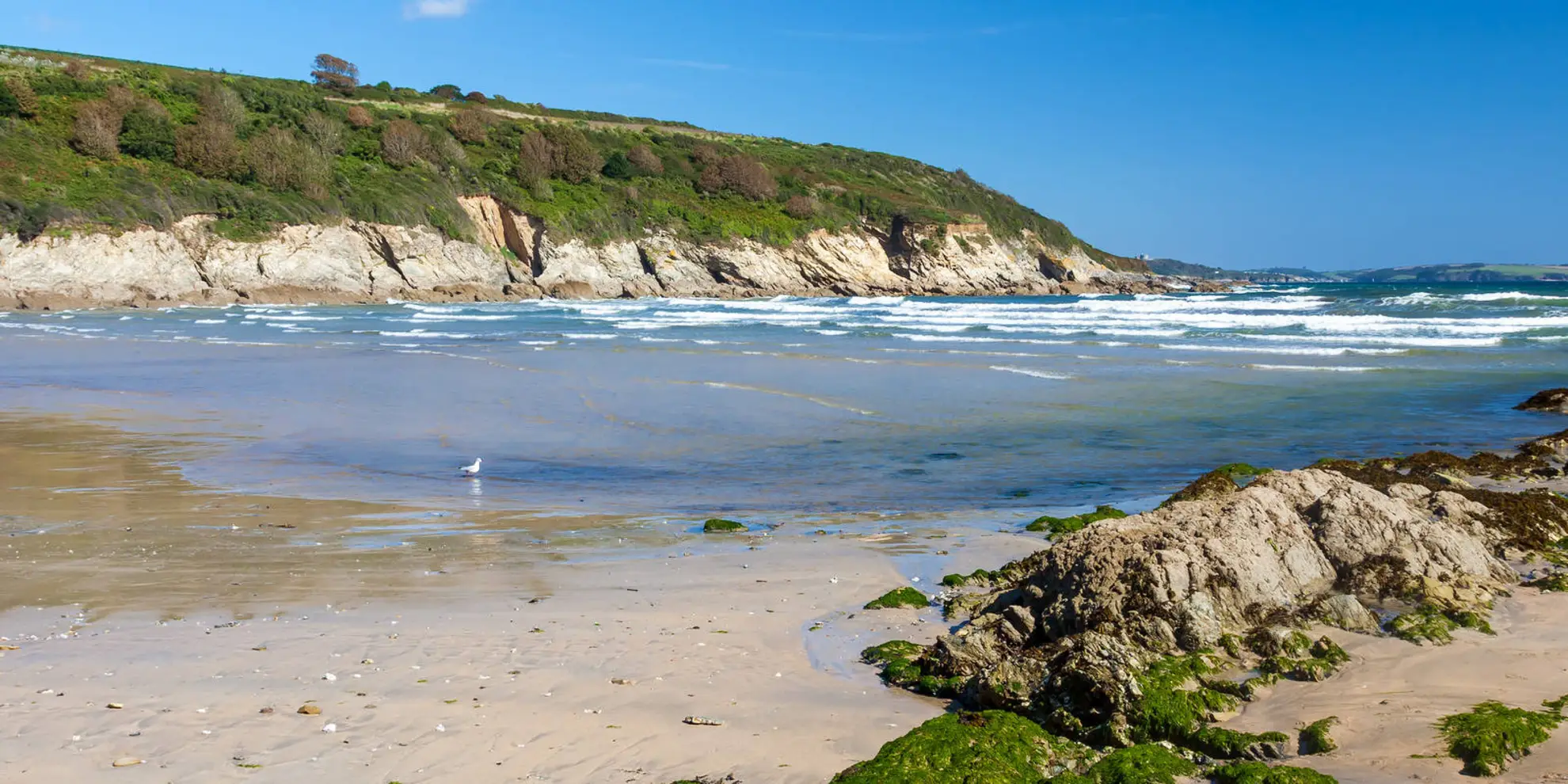 An image depicting the trail Maenporth to Swanpool Walk and its surrounding area.