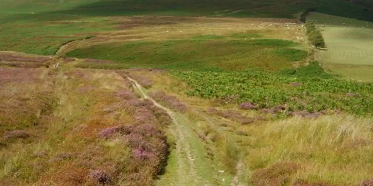 Beacon Hill near Burghclere