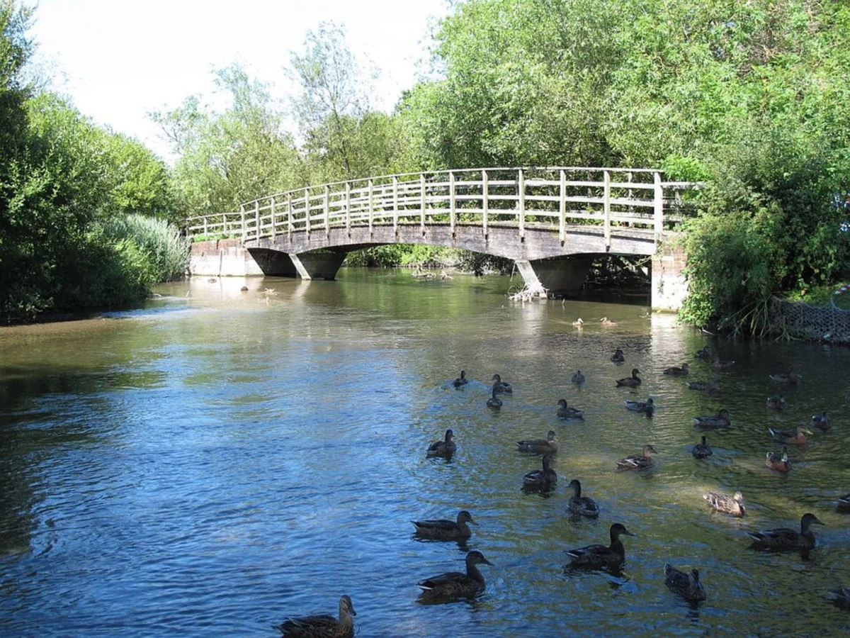 Salisbury Watermeadows Walk