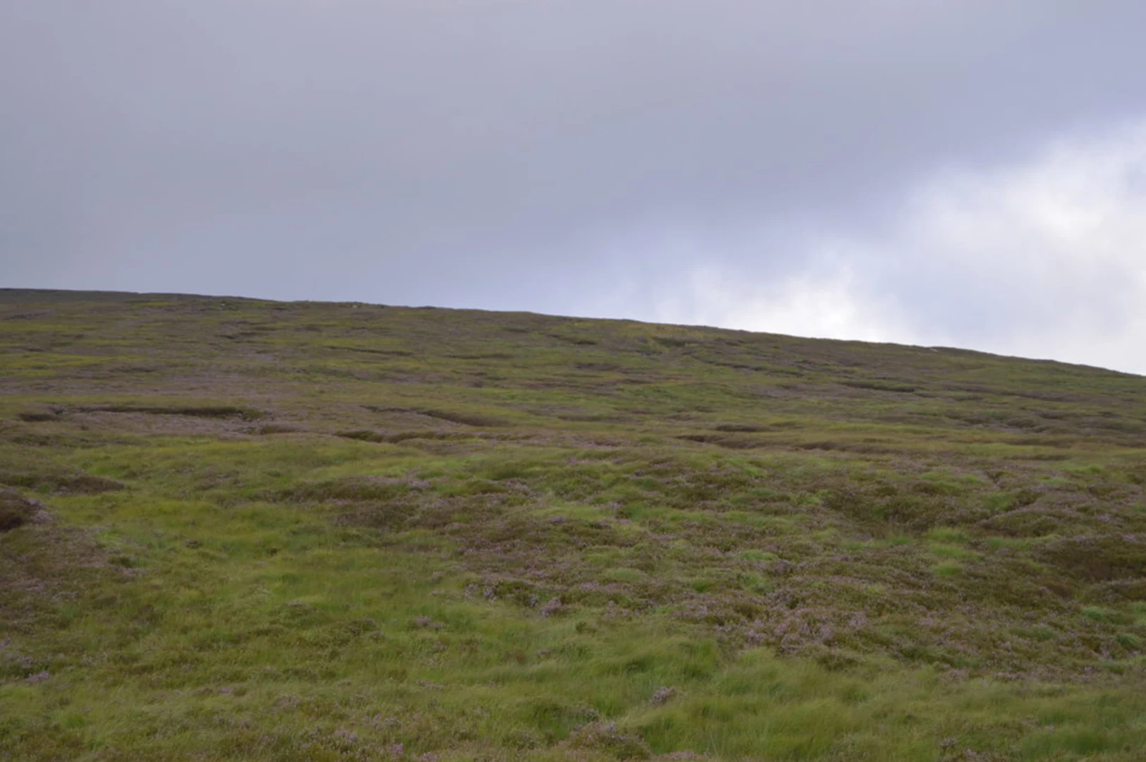 An image depicting the trail Carrigvore and Duff Hill Loop and its surrounding area.