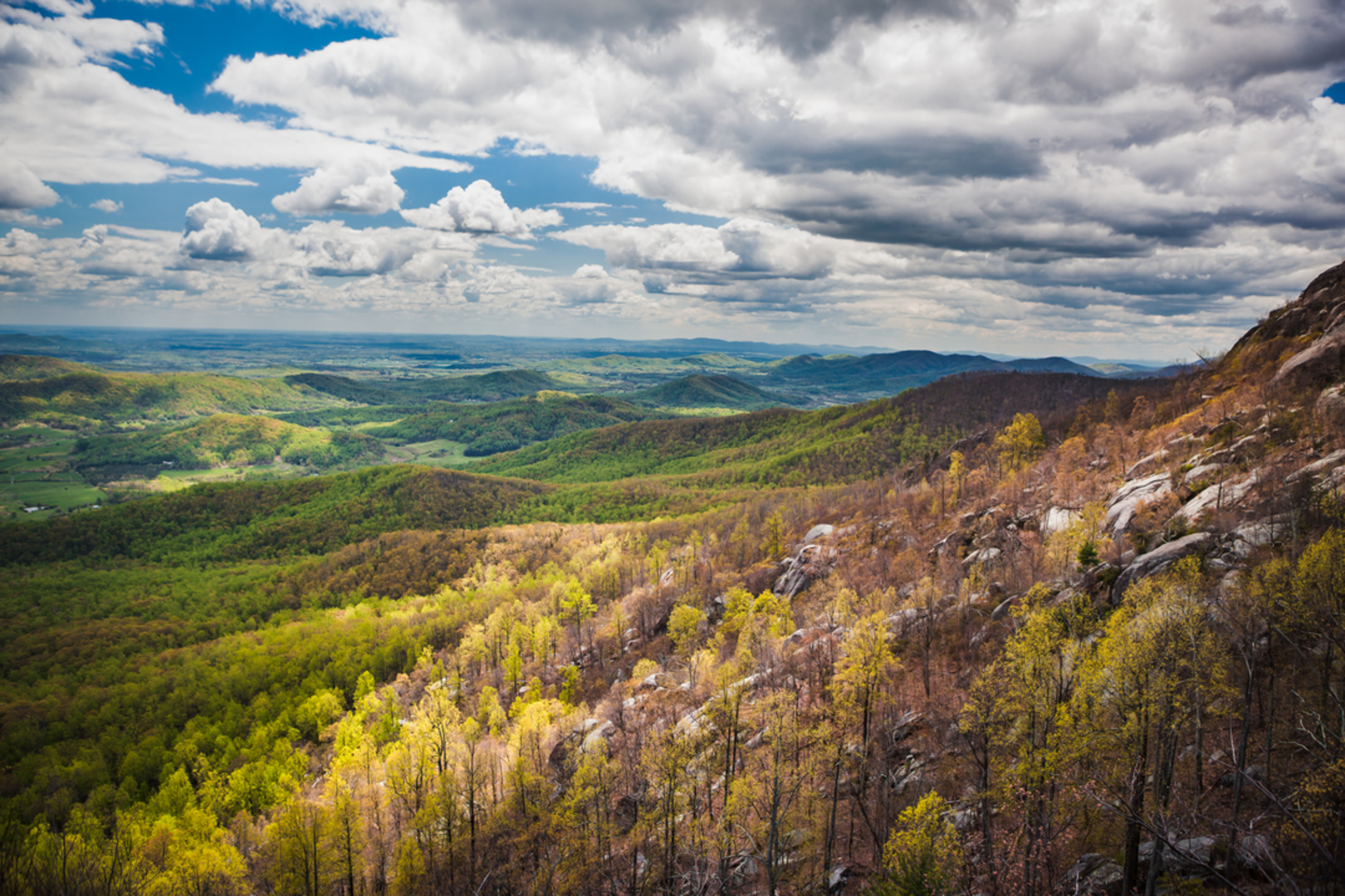An image depicting the trail Berry Hollow to Old Rag Mountain Trail and its surrounding area.