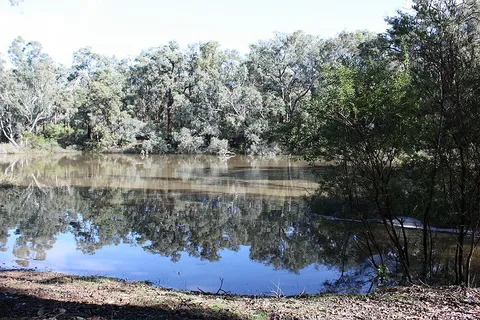 Old Timberline and Sidings Rail Trails