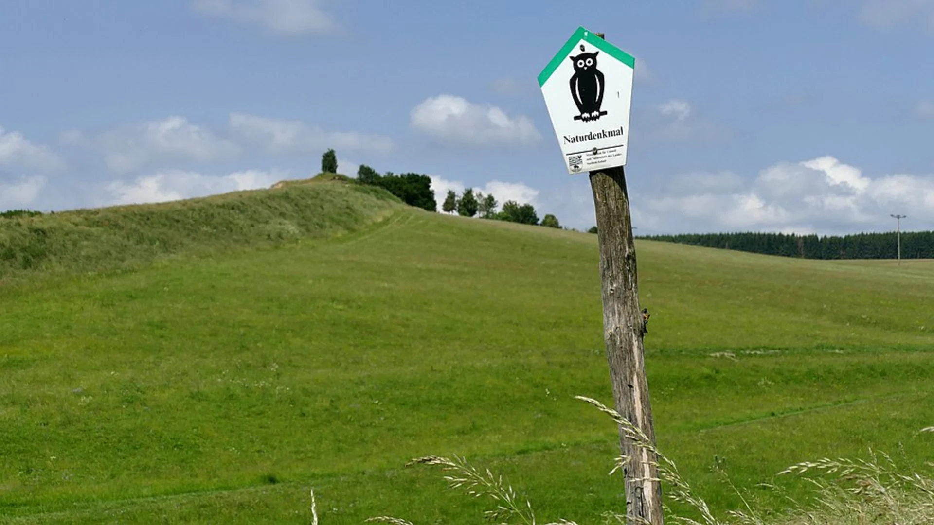 An image depicting the trail Hundspfot and Hordter Rheinaue Loop and its surrounding area.