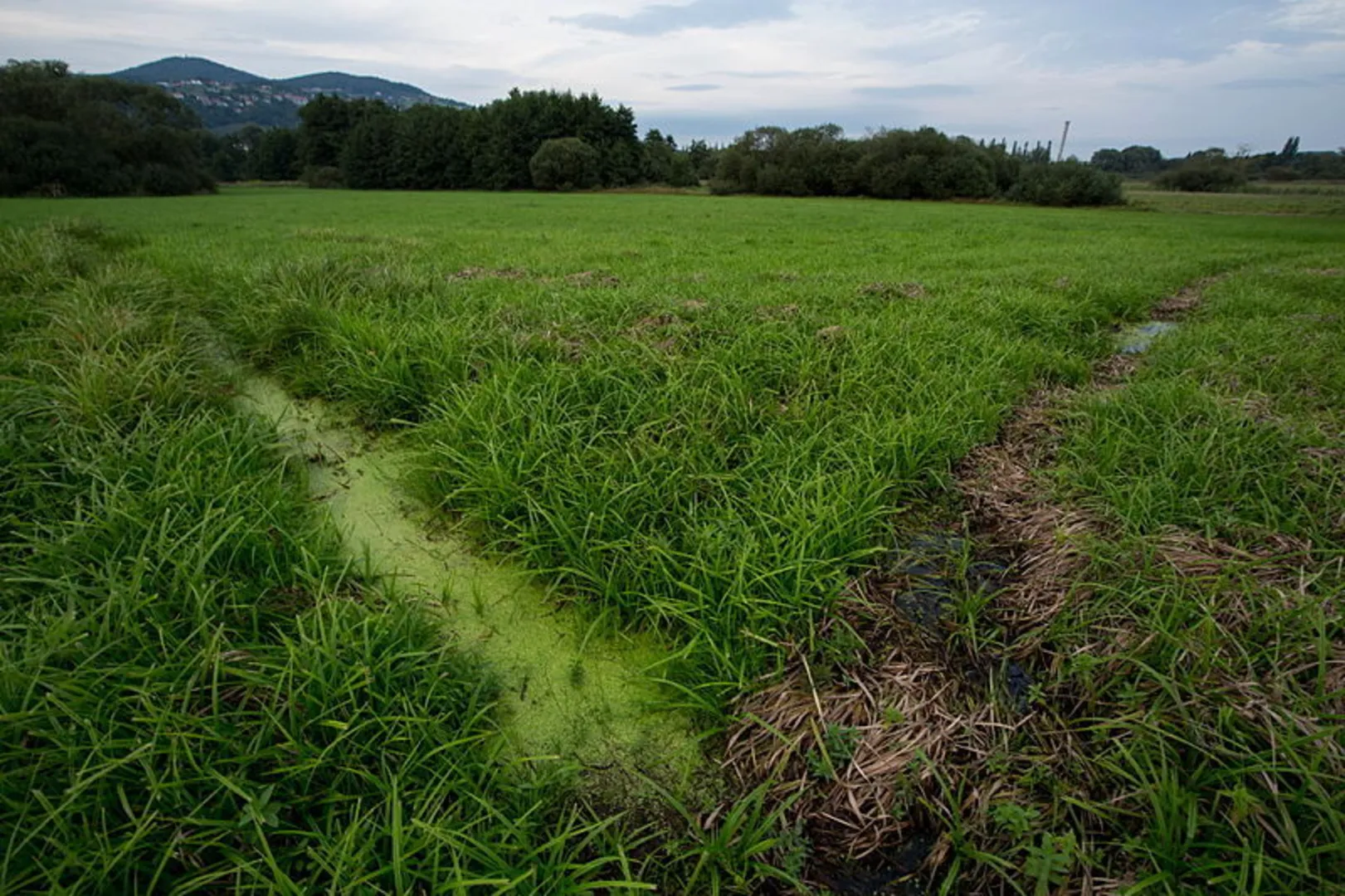 An image depicting the trail Lebing - St Johann in der Haide - Eggendorf - Hartberg - Lebing and its surrounding area.