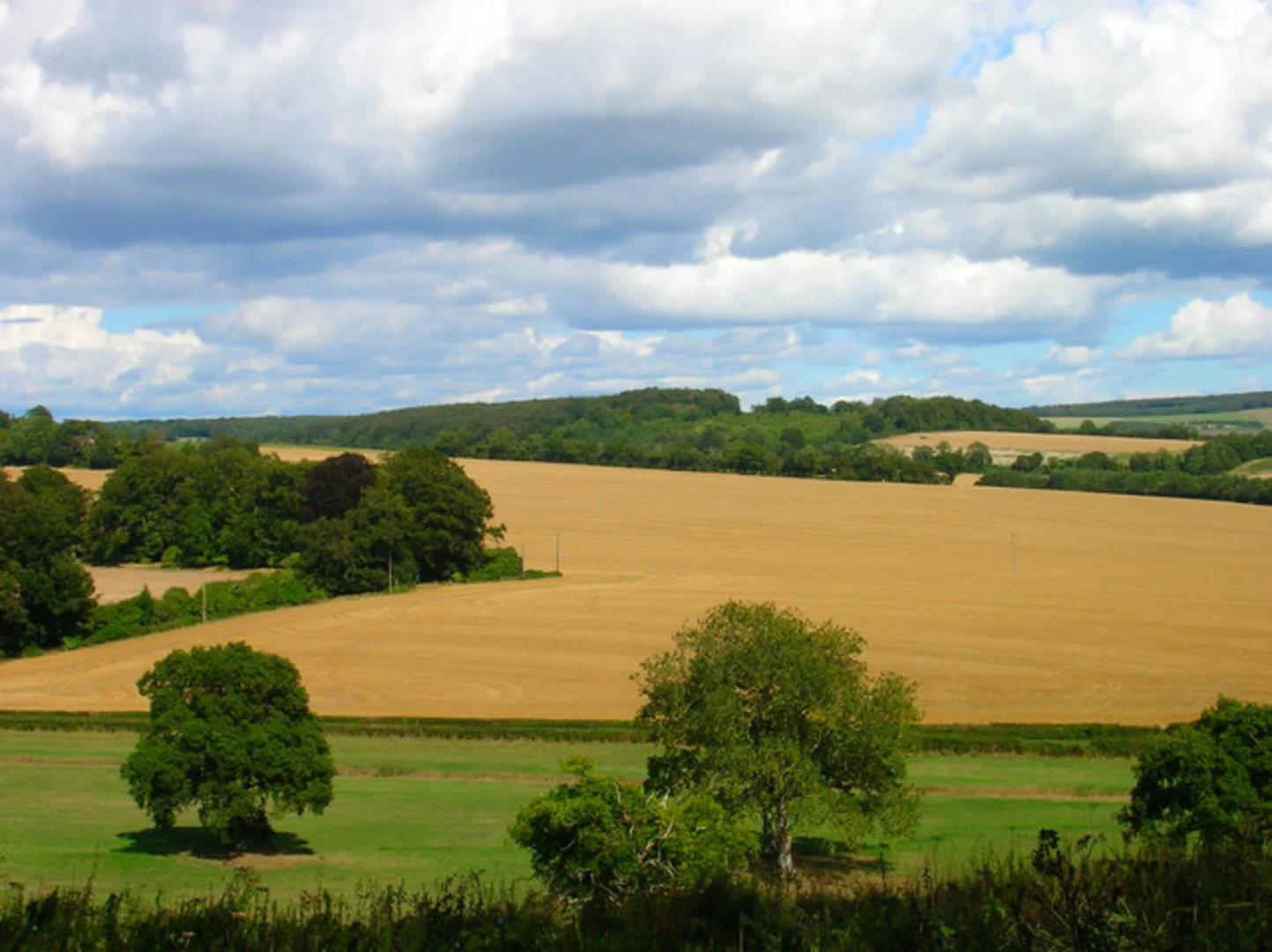 An image depicting the trail Watergate Hanger and Grevitts Copse Loop and its surrounding area.