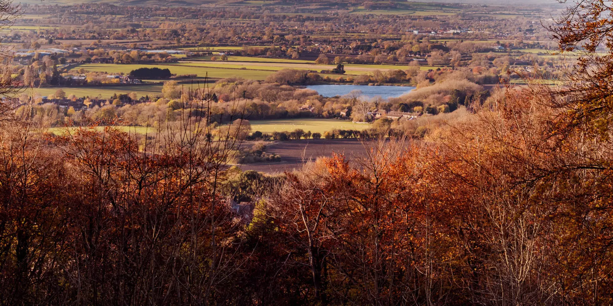 An image depicting the trail Wendover Woods from Wendover and its surrounding area.