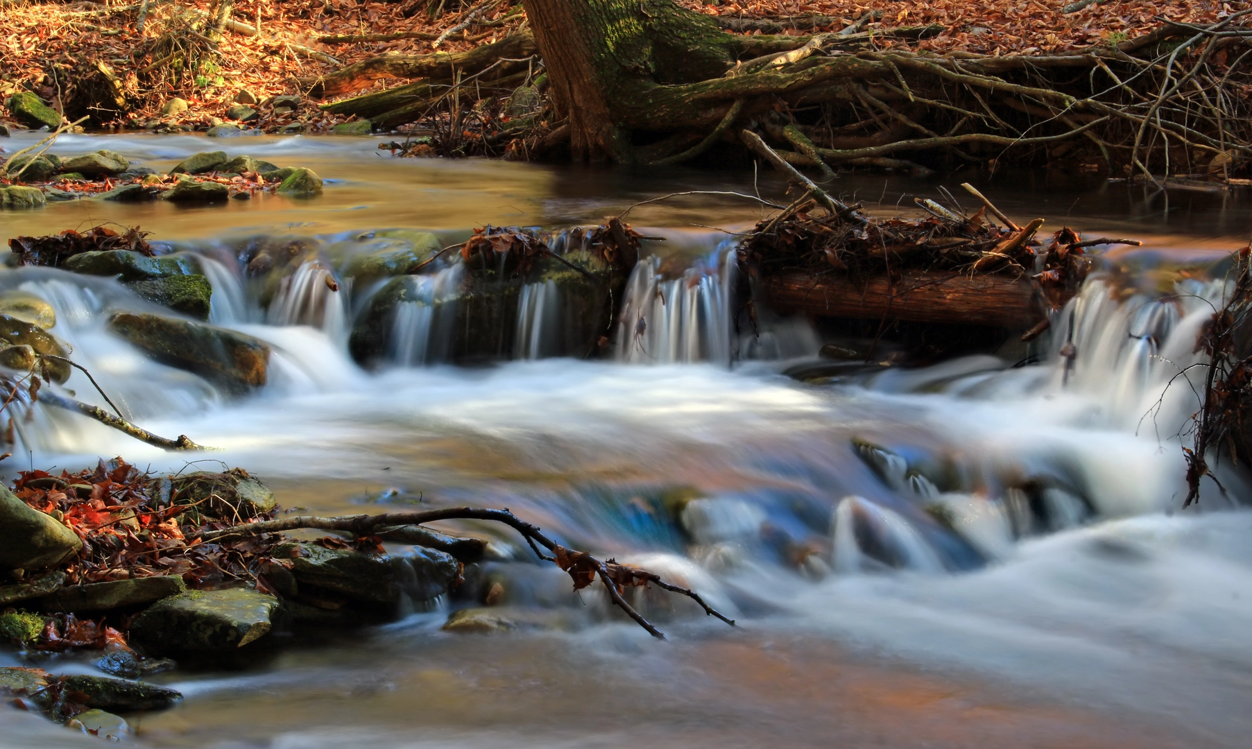 An image depicting the trail Jocoby Falls and its surrounding area.
