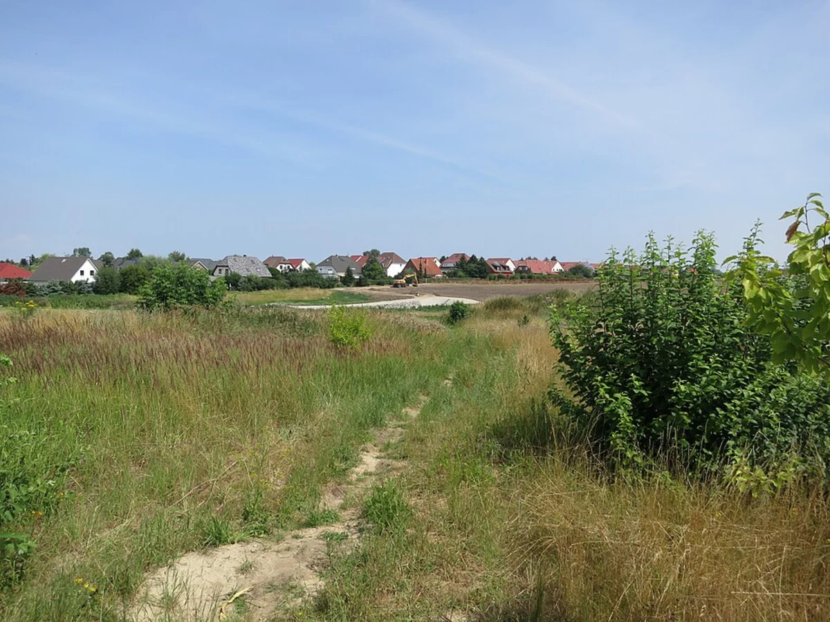 Hinrichshagen and Beckerstein Loop