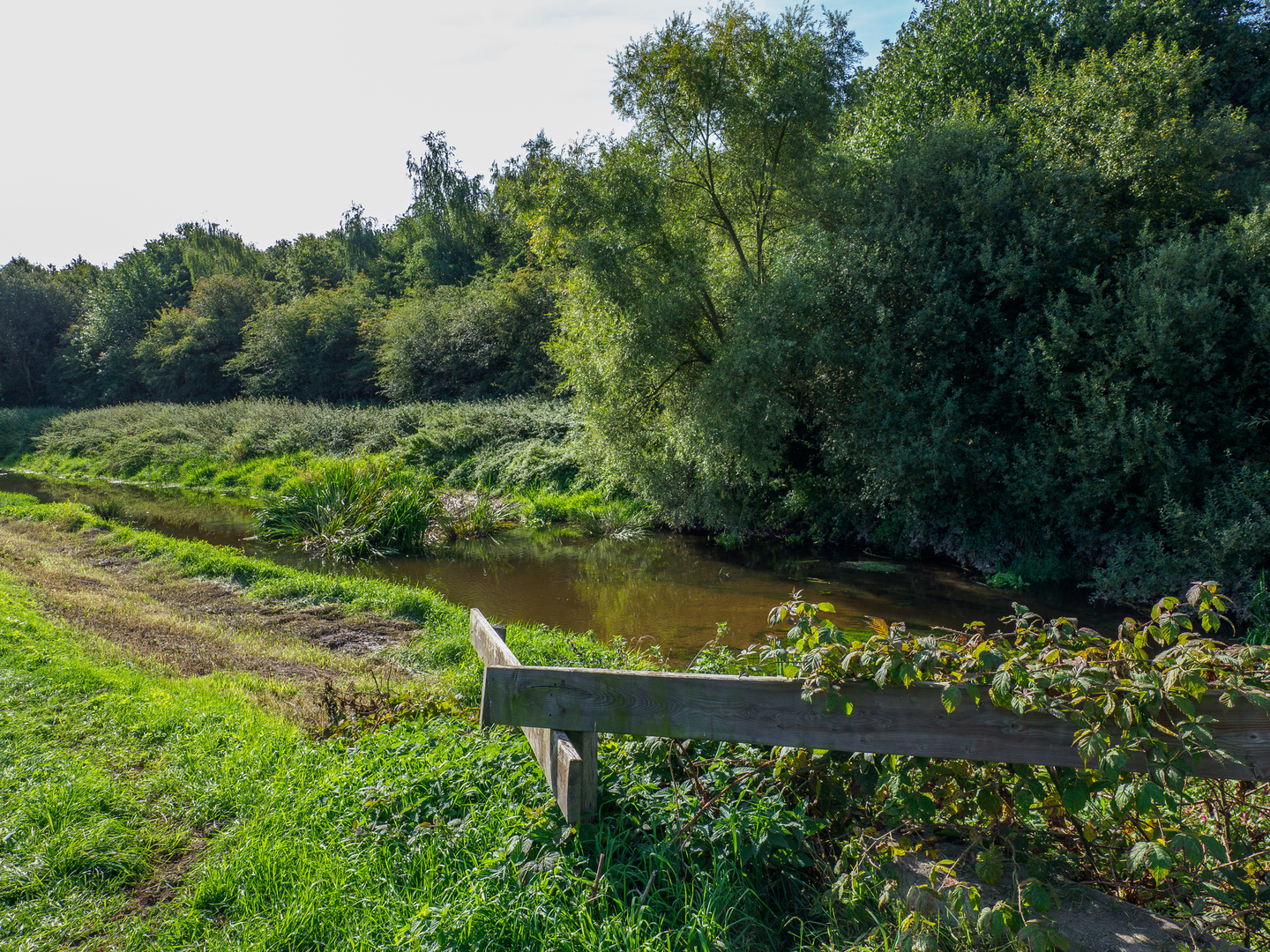 An image depicting the trail Noaberpad and Hillingenpad Loop and its surrounding area.