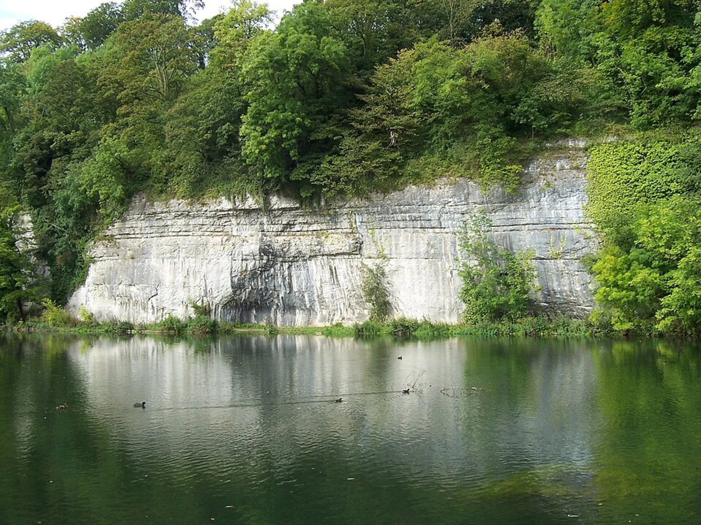 An image depicting the trail Cramside Wood, River Wye and Headstone Viaduct View and its surrounding area.