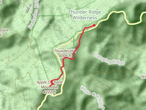 Apple Orchard via Mountain Appalachian Trail Out and Back