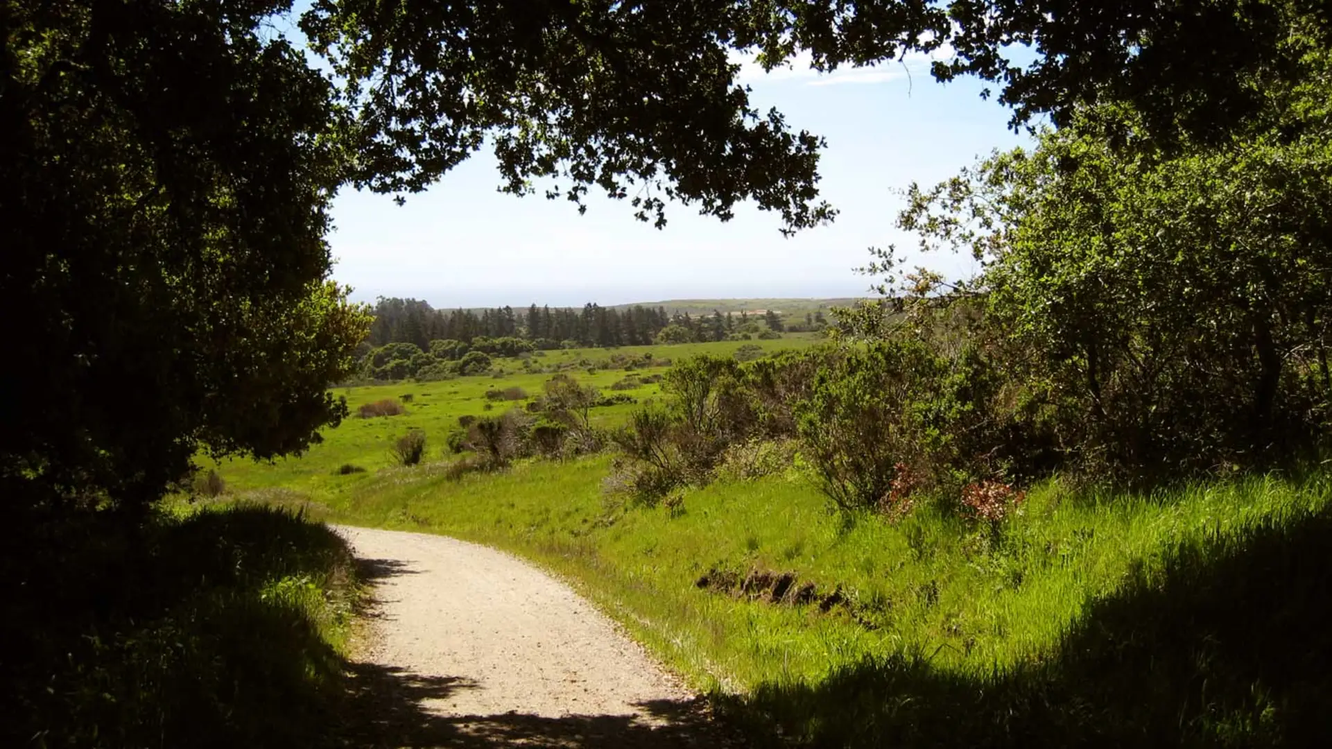 An image depicting the trail Baldwin, Wilder Ridge and Eucalyptus Loop and its surrounding area.