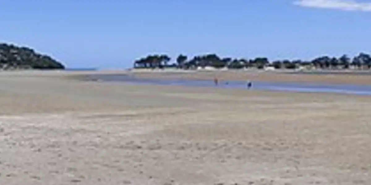 Pauanui Summit Trail