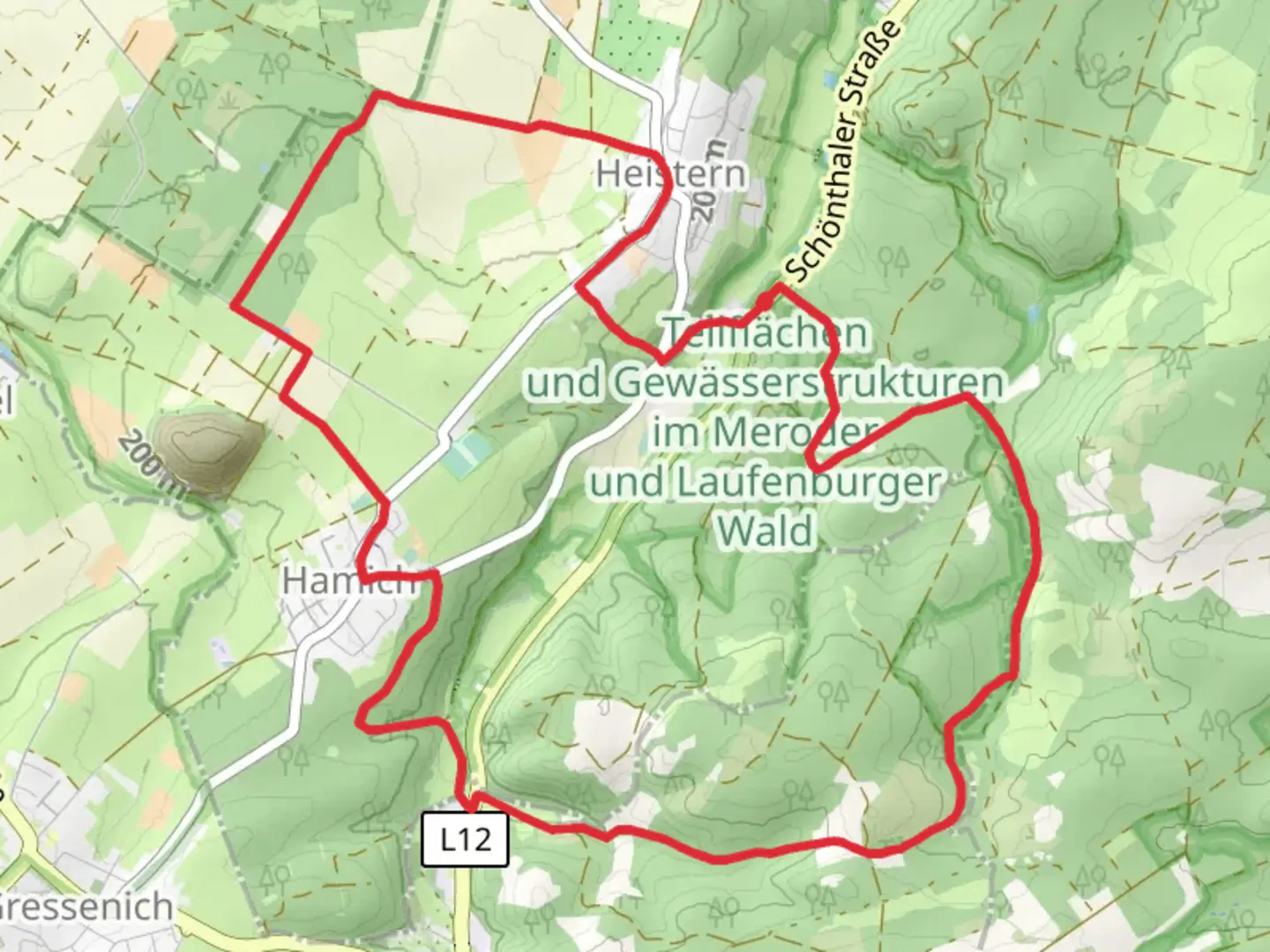 An image depicting the trail Orchelsweiher and Fehlsiefen via Schevenhuette Rundweg and its surrounding area.