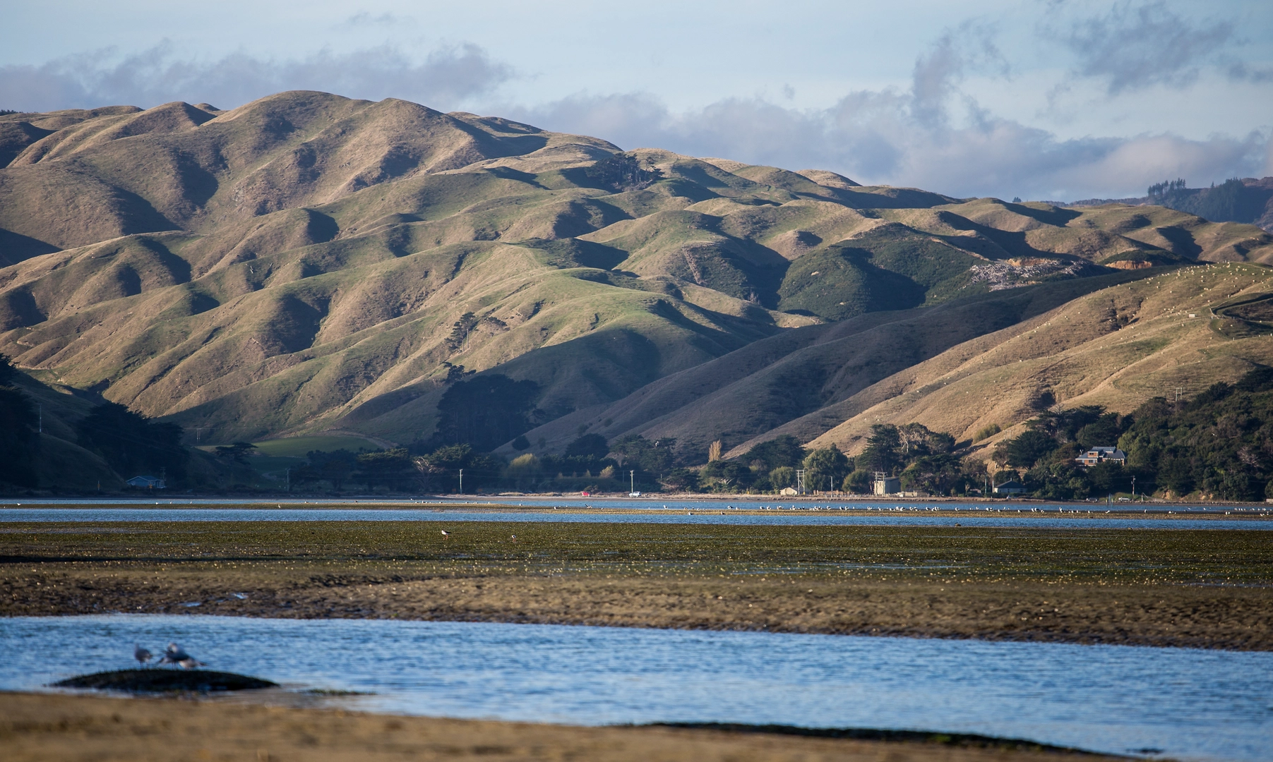 An image depicting the trail Ara Tawa Trail and its surrounding area.