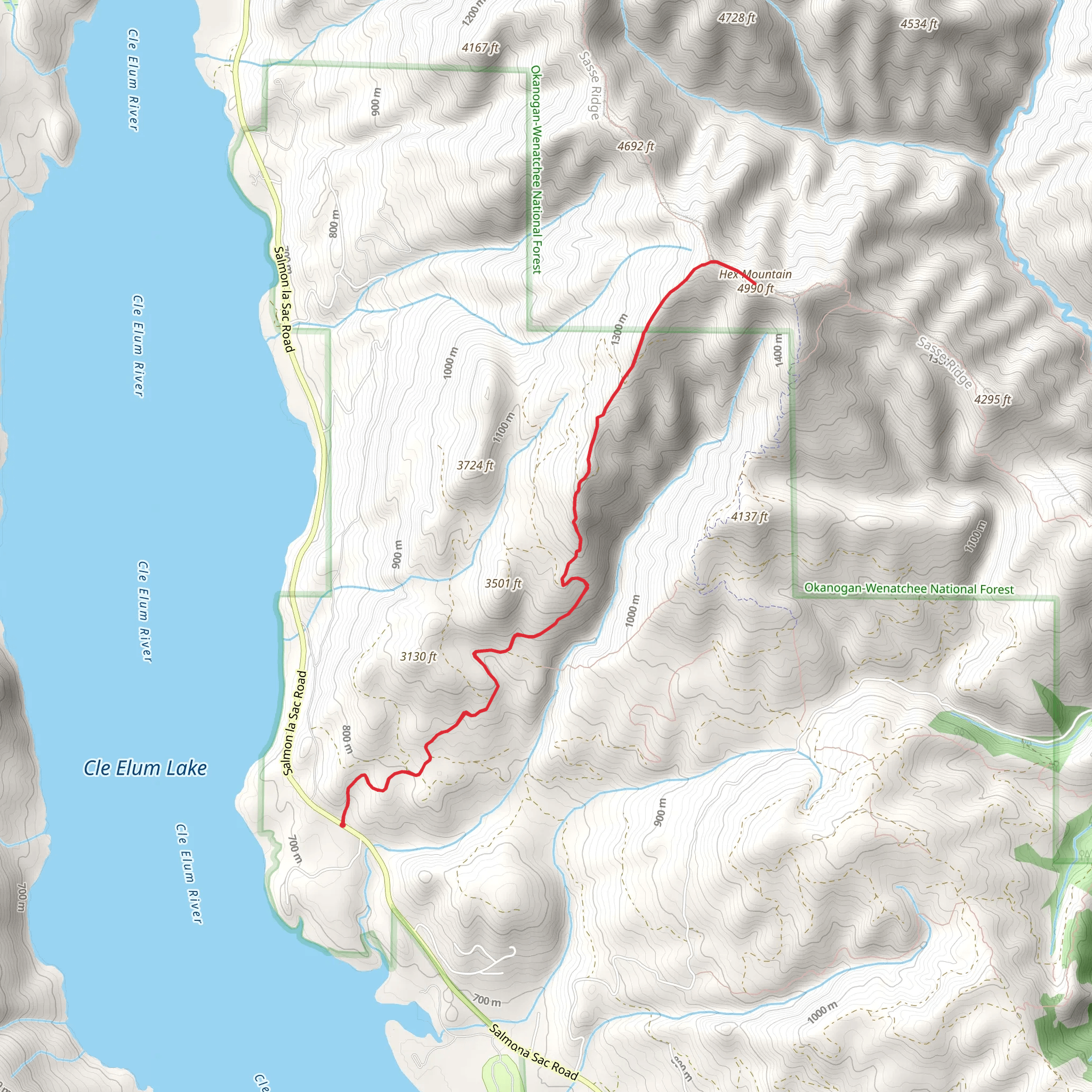 Hex Mountain Out and Back mobile static map
