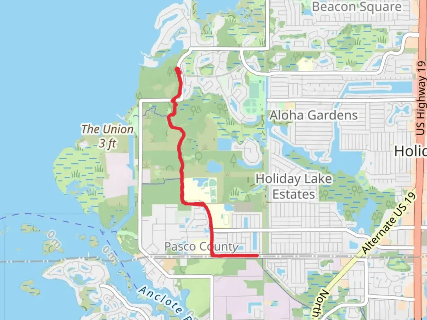 An image depicting the trail Coastal Anclote Trail - Key Vista Nature Park and its surrounding area.