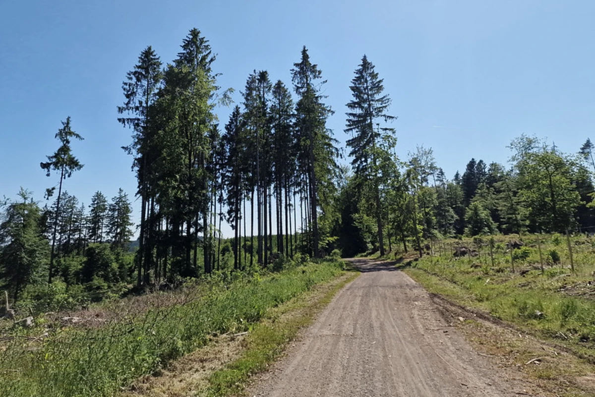Schmidt to Ruberg via Ardennen Eifel Rundweg