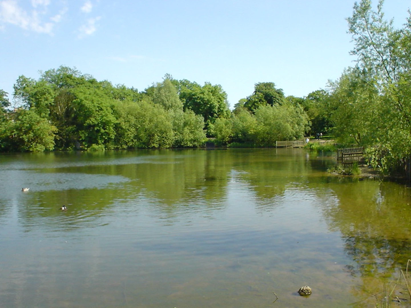 An image depicting the trail Sandy Heath, Priory Park and Park Walk Local Nature Reserve Loop and its surrounding area.