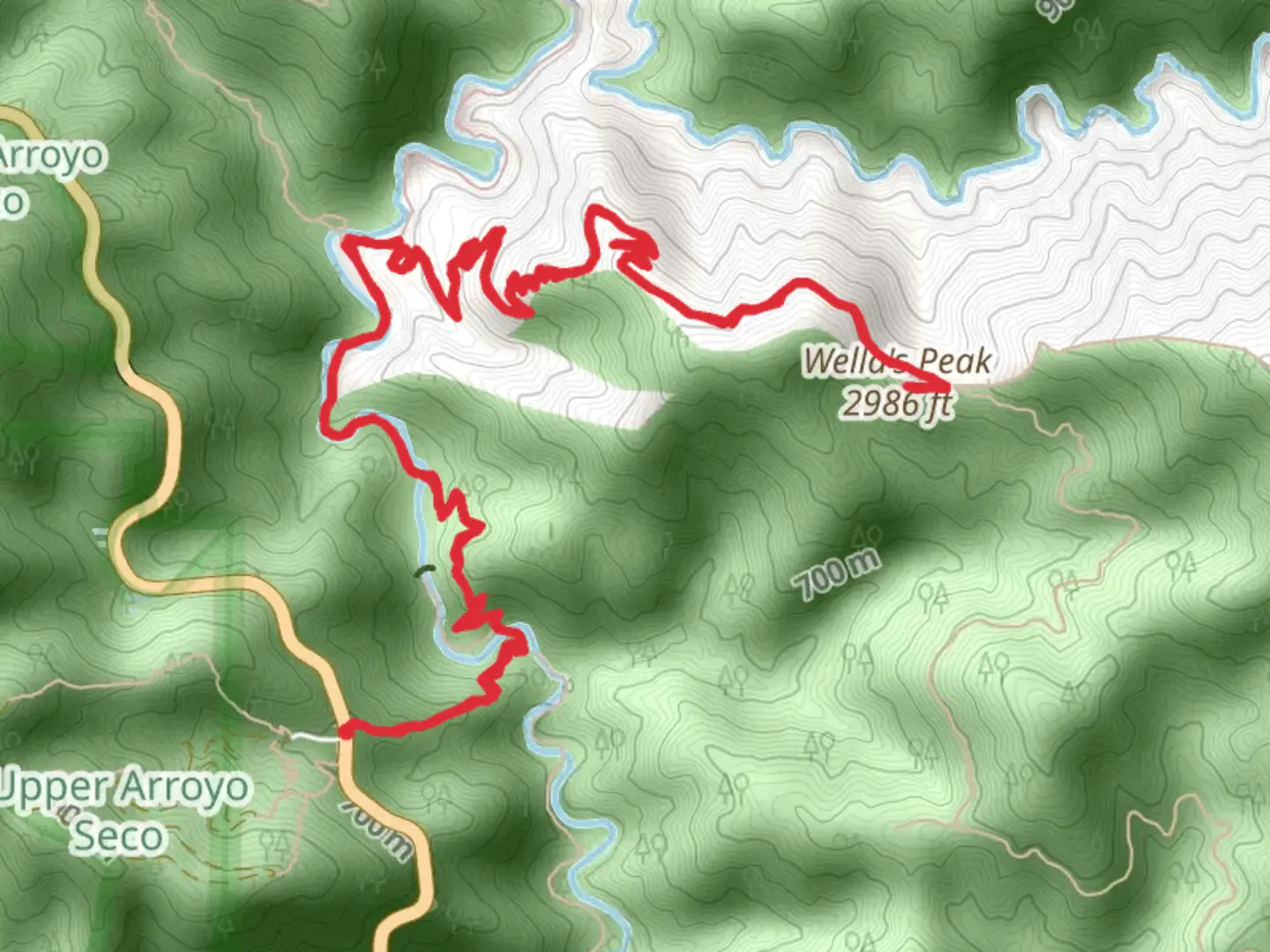 An image depicting the trail Wella's Peak via Station Ridge Trail and its surrounding area.