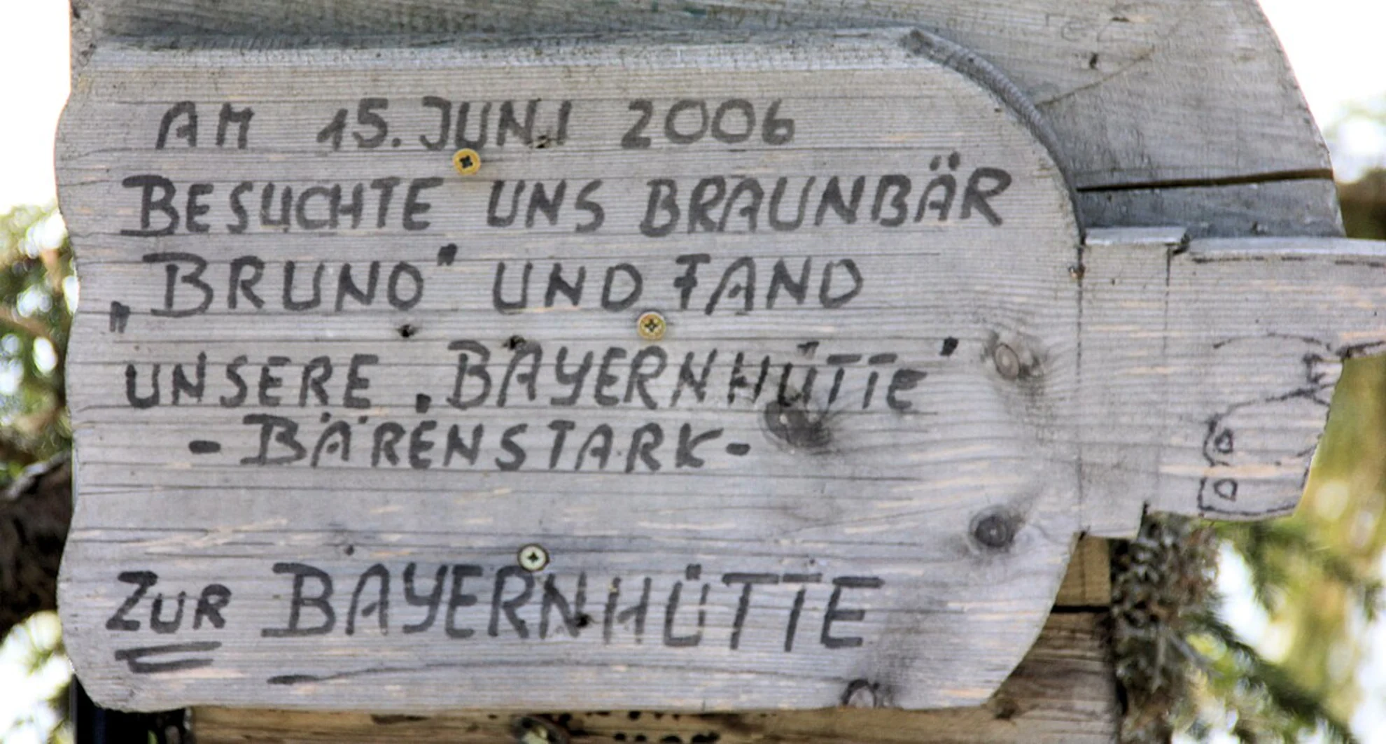 An image depicting the trail Brauneck Loop and its surrounding area.