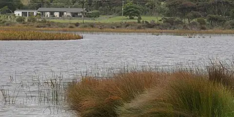 An image depicting the trail Lake Ngatu Track and its surrounding area.