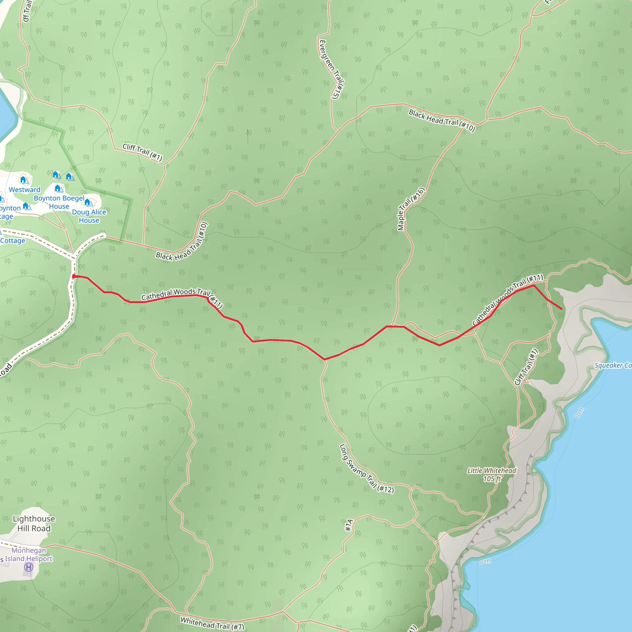 Squeaker Cove from Black Head Road mobile static map