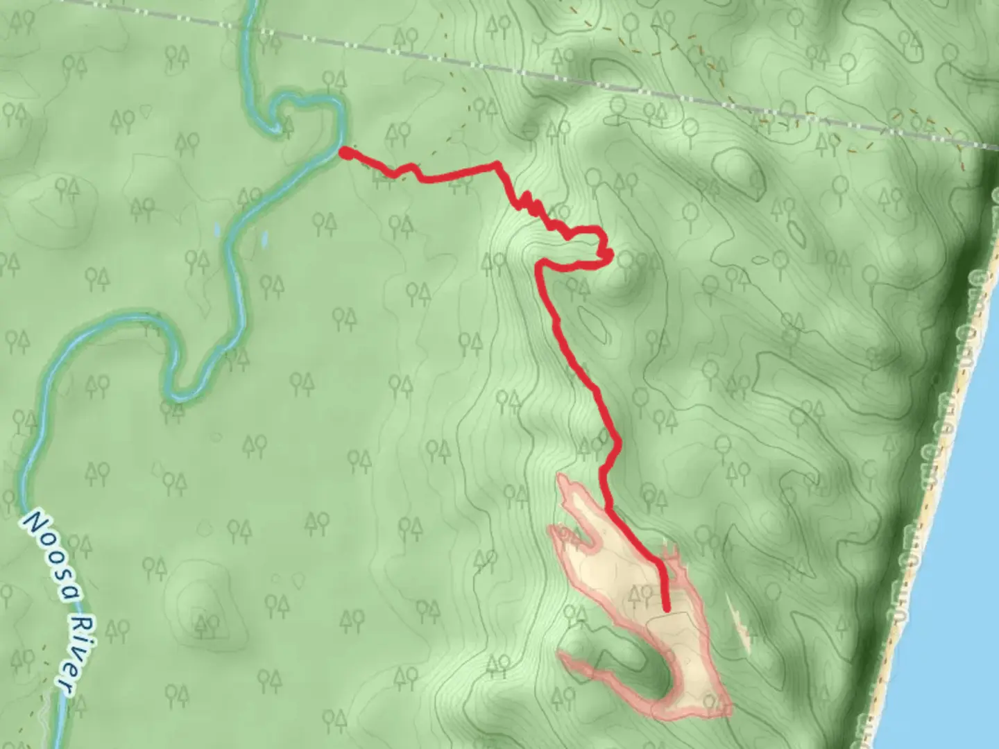 An image depicting the trail Cooloola Sandpatch Walk and its surrounding area.