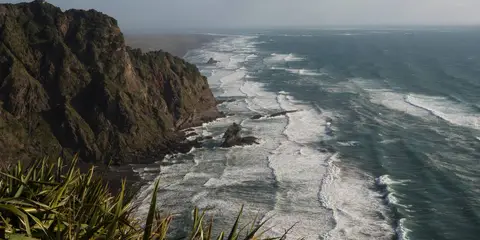 An image depicting the trail Mercer Bay Loop Track and its surrounding area.