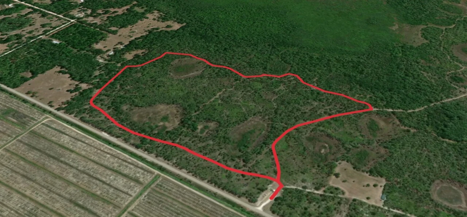 An image depicting the trail Corkscrew Road Loop Walk and its surrounding area.