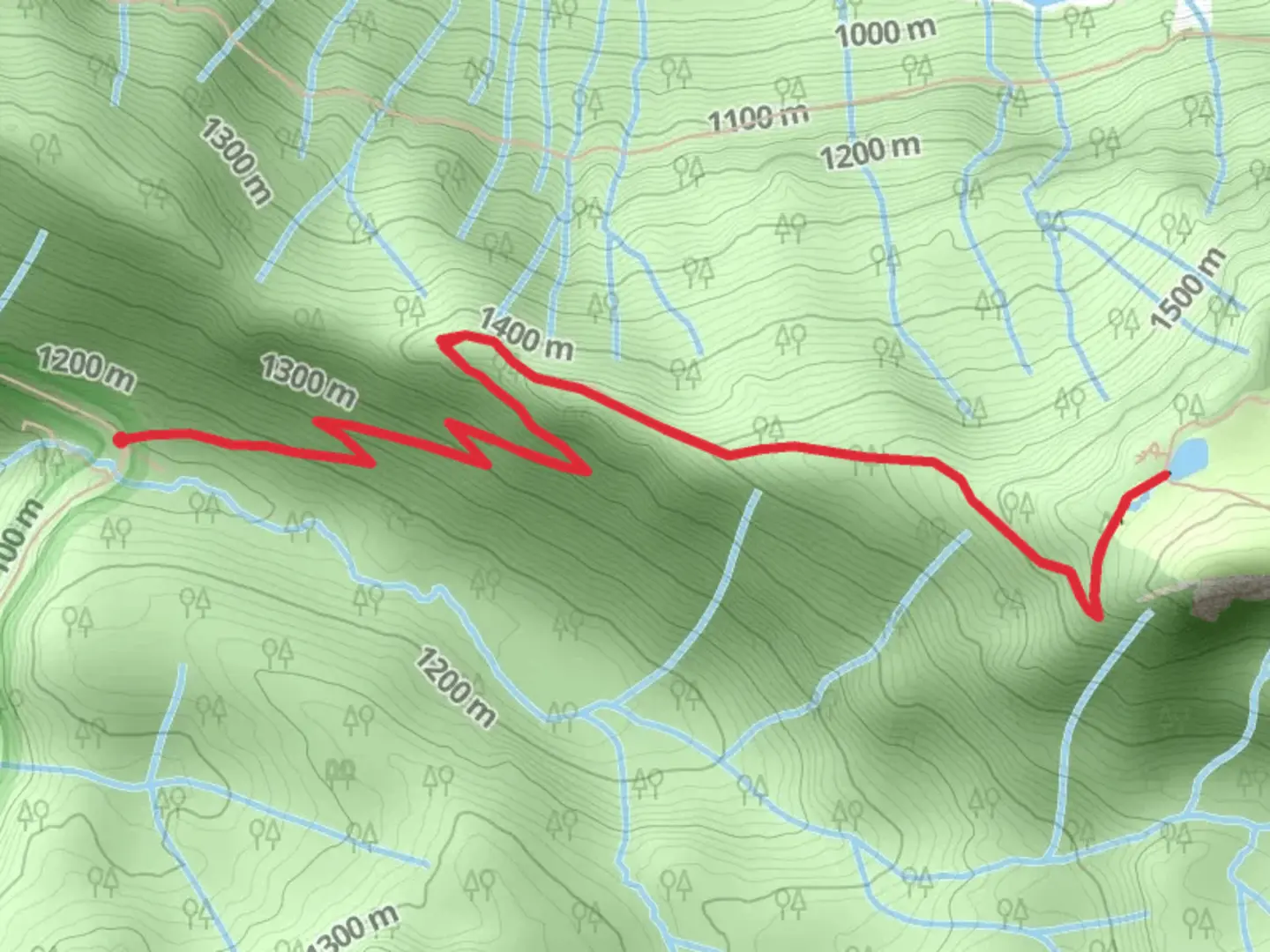 An image depicting the trail St Andrews Creek Trail and its surrounding area.