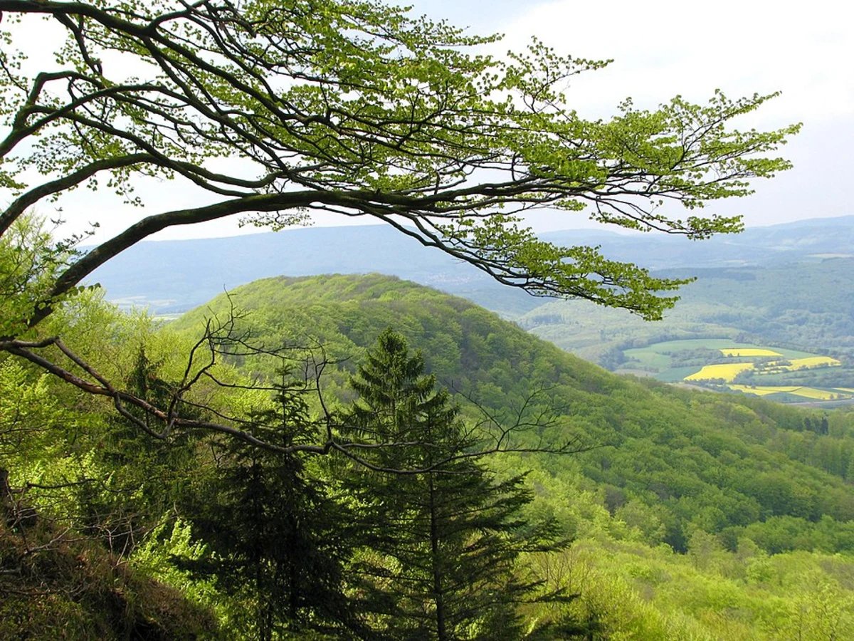 Filialkirche St Bartholomäus via Kreuzweg Kleinhoehenrain